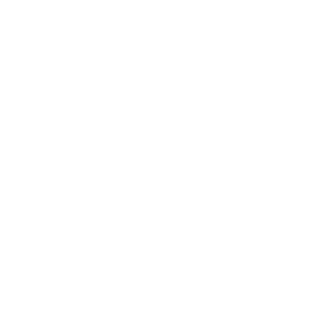 Central-Environment-Authority-2